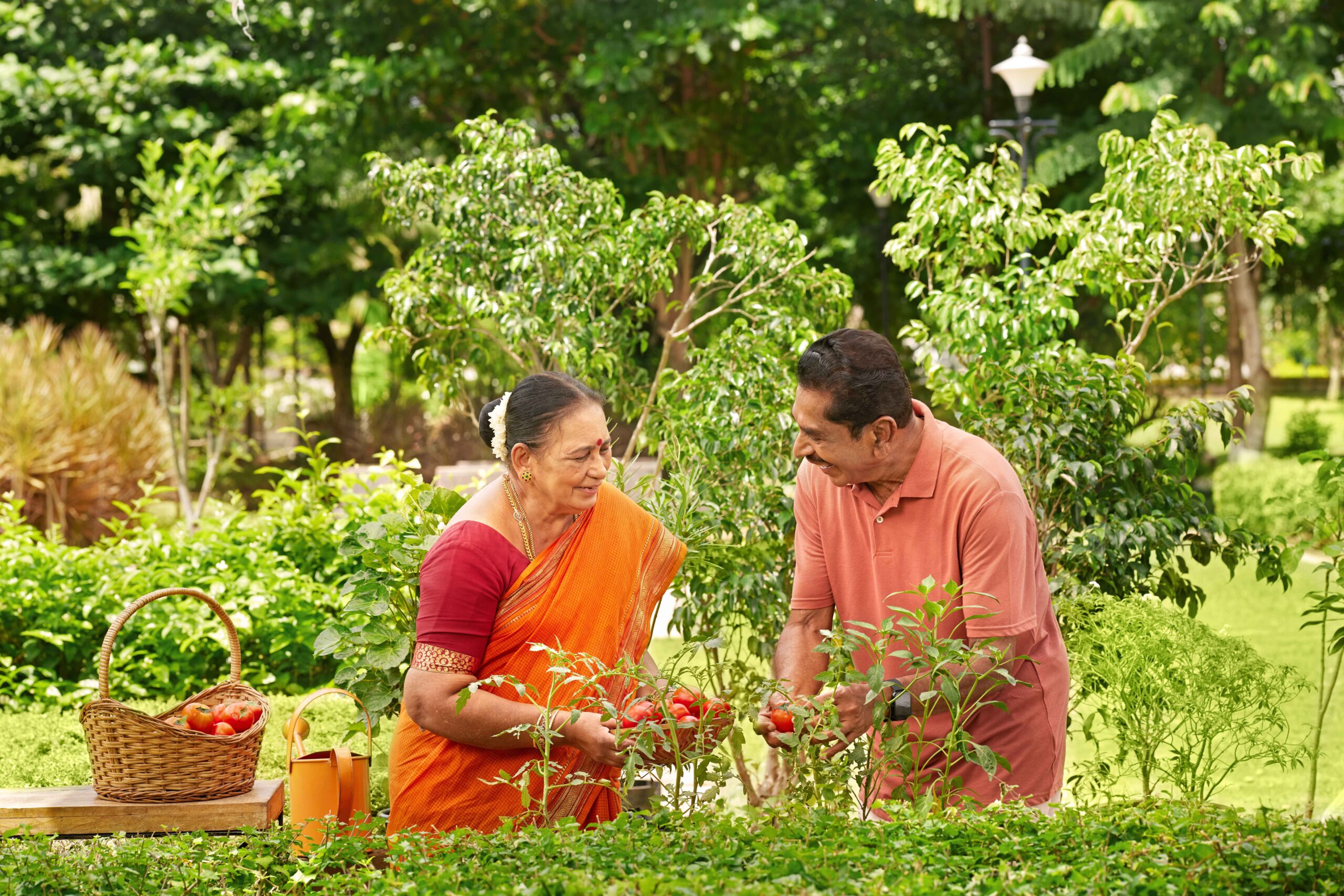 Discover Ashiana Housing Chennai: Your Destination for Premier Senior Living Homes
